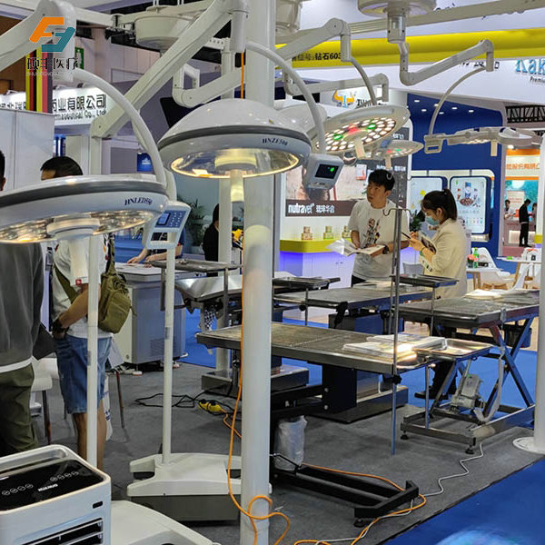 糖心视频免费观看