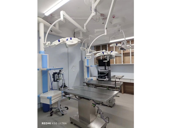 糖心视频 第十一届天一成都国际宠物博览会